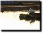 caenhill (58).JPG