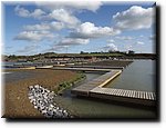 caenhill (88).JPG