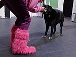 DSC01025.JPG