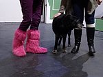 DSC01026.JPG