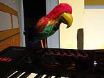 DSC01071.JPG