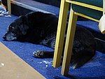 DSC01216.JPG