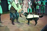 IMG_5040.JPG