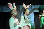 IMG_5198.JPG