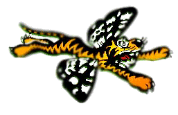 The Tiger Club