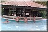 damaibeach89_0001.jpg