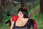 Potterne Panto